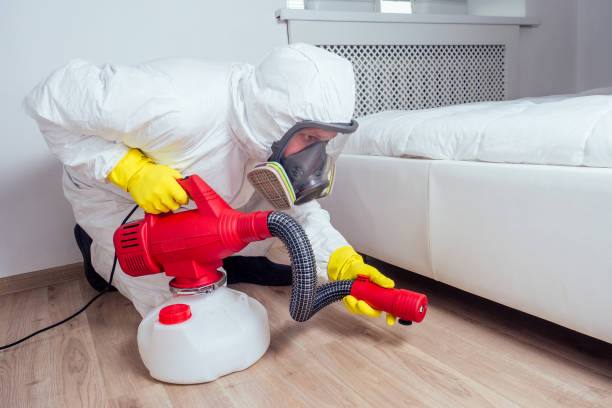 Best Local Pest Control Services  in Union City, GA