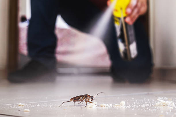 Best Wasp Removal Services  in Union City, GA